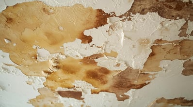 an image of a ceiling with water damage